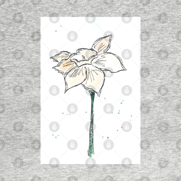 Narcissus. Spring Flower. Watercolor, art decoration, sketch. Illustration hand drawn modern by grafinya